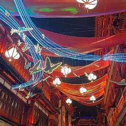 Yuyuan Garden by night