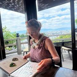 Posh tea house just outside the Kiyomizu-dera