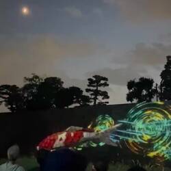 Nijo Castle evening light show