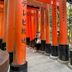 Fushimi Inari torii gates