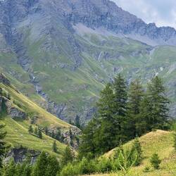 The view opens up as we climb beyond the trees