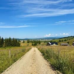 Ausblick auf Poiana Stampei