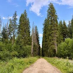 Um die Mittagszeit hat es zum ersten Mal angefangen zu regnen.