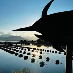 Fischfarm in Arbatax