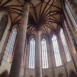 Die "Palme" im Kloster