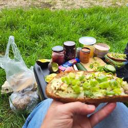 Des Wanderfahrers Mittagsbrot: Avocadobrot mit Frühlingszwiebeln.