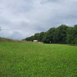 Abenteuerliche Abfahrt, weil der Weg zu eng und rutschig war.