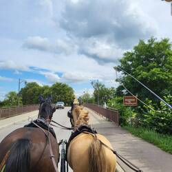 Erste Überquerung der Donau