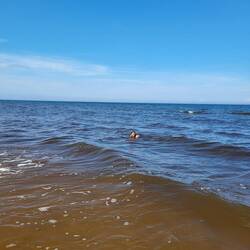 Ein erfrischendes Bad!