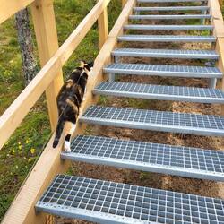 Die Treppen sind für unser Kätzchen eine Herausforderung.