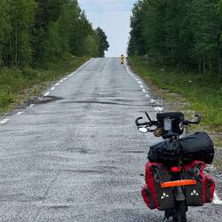 Da wirste doch verrückt wirste da.