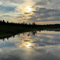 Stillleben. Schönleben. Meinleben.