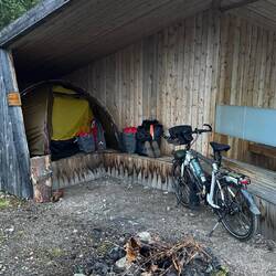 Und alles nur wegen der Geflügelpest.