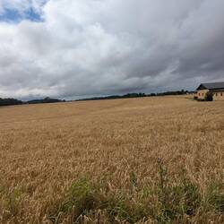 Da gab es einen blauen Moment