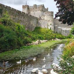 Cahir Castle