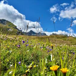 Ahhhh die Berge rufen 😍