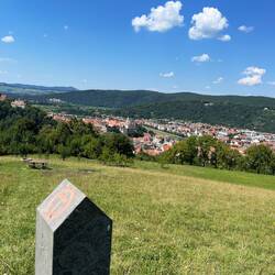 Blick auf Sighișoara