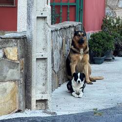 Such good boys!