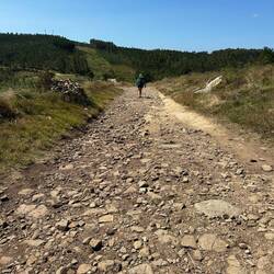 This rocky stretch at about mile 16 was no bueno. Fortunately it was only a mile or so.