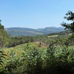 Can't figure out what mountain range that is but it's dramatic!