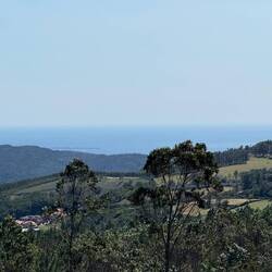 Our first view of the sea