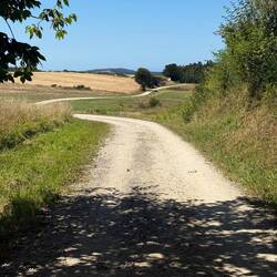 This reminded me of the meseta earlier in the Camino.