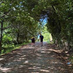 Steep! Grateful for shade in these moments
