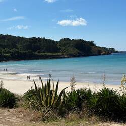 The view from our lunch table