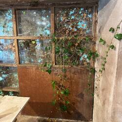 In diese Halle ist der Efeu durch das Fensterkreuz gewachsen. Sehr vintage.