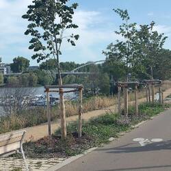Le pont Confluence d'un peu plus près mais toujours caché