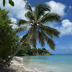 Fresh Water Bay 🌴