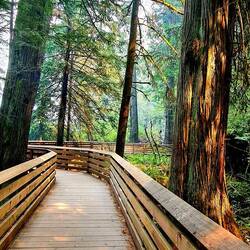 MacMillan Provincial Park
