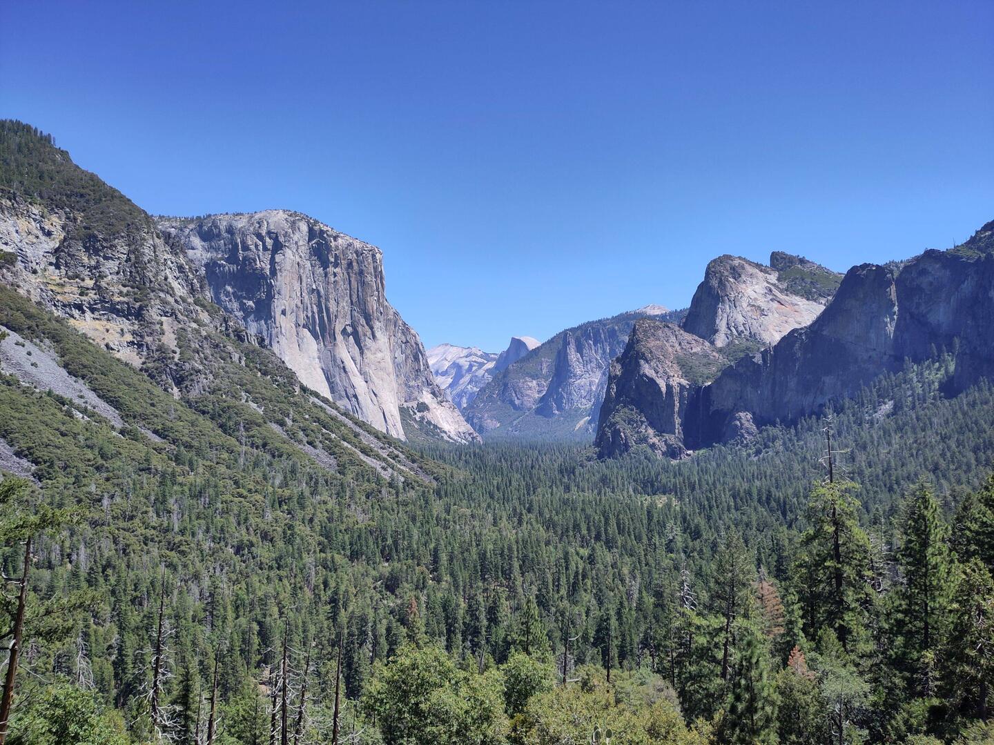 Aussicht vom Tunnel View