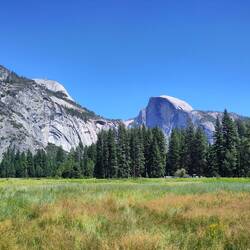 Cook's Meadow mit Half Dome im Hintergrund