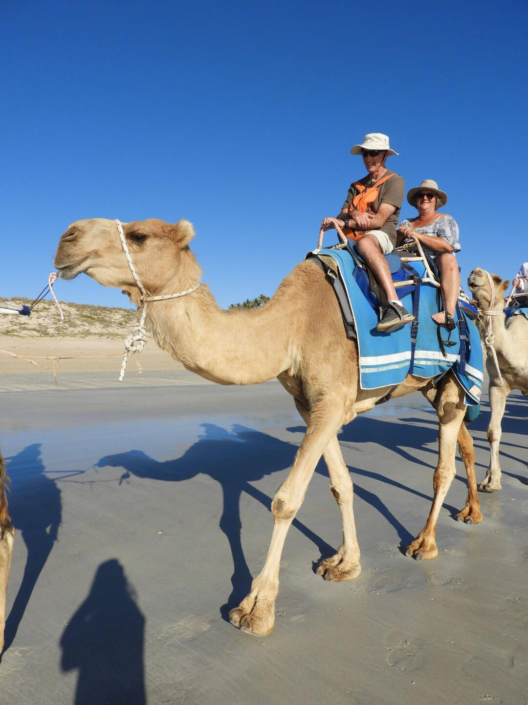 Camel ride on Cable