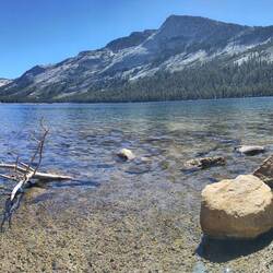Tenaya Lake