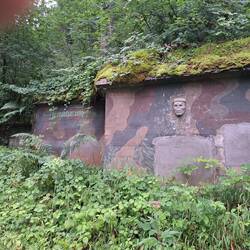 Bunkeranlagen im Wald