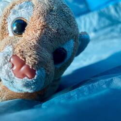 Am ersten Abend, als die Kinder ihre Schlafsäcke auspackten, hörten wir einen Freudenschrei: Boris!