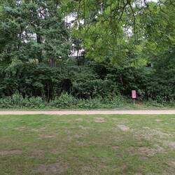 Premiumplatz in 7 m Höhe