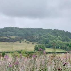 View along the Monsal Trail