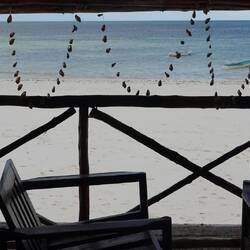 Aussicht von der Terasse