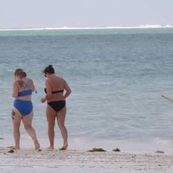 ...auch hier als Hirten tätig