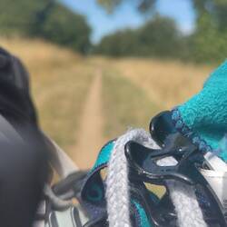 Bon c flou mais voilà les chemins au bord de l'Authion