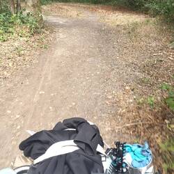 Petit chemin dans la forêt