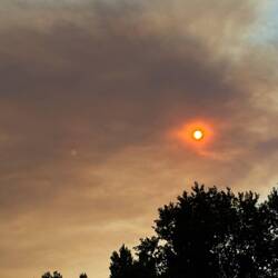 Die Sonne leicht hinter dem Qualm versteckt!