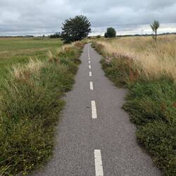 Der Radweg benötigt etwas Pflege