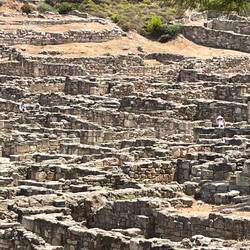 The three of us from their view (feat me and dad doing illegal stuff)