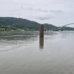 Die Donau, ganz schön voll