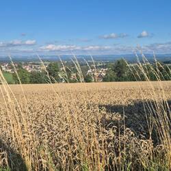 Schattenspiel Tina und Sprinter