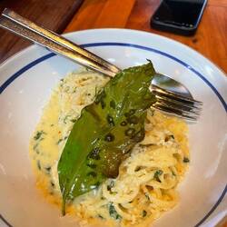 Lemon pasta. Grainy due to cheese. Firm pasta